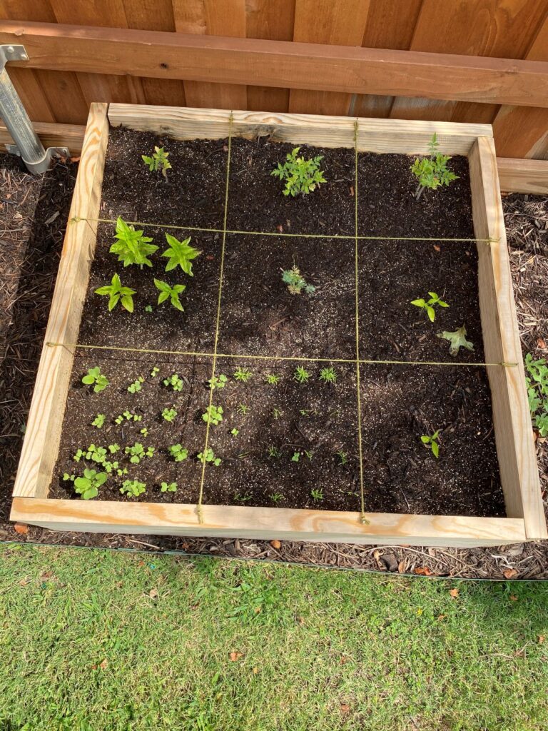 EASY WAY TO CREATE SQUARE FOOT GARDEN GRIDS OUT OF YARN - The Garden Tots