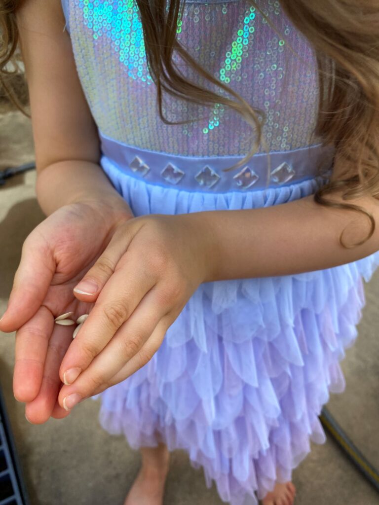 Toddler Holding Seeds in Hands_close up
