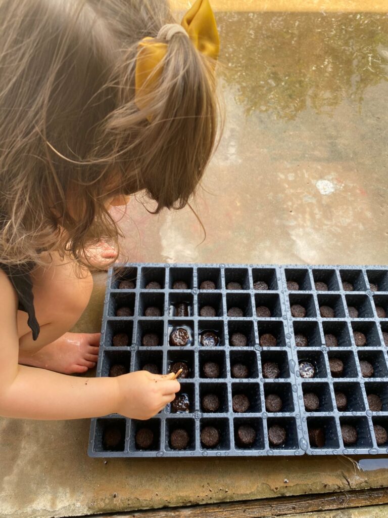 Toddler Prepping Seed Pod Soil
