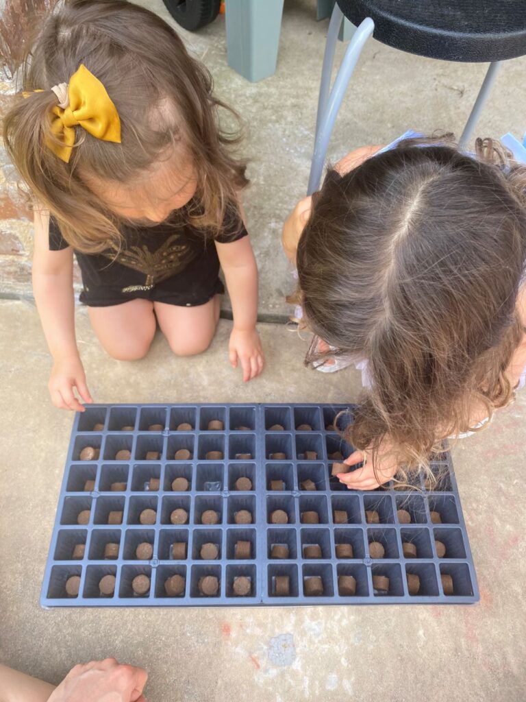 Toddlers Flipping Seed Pods