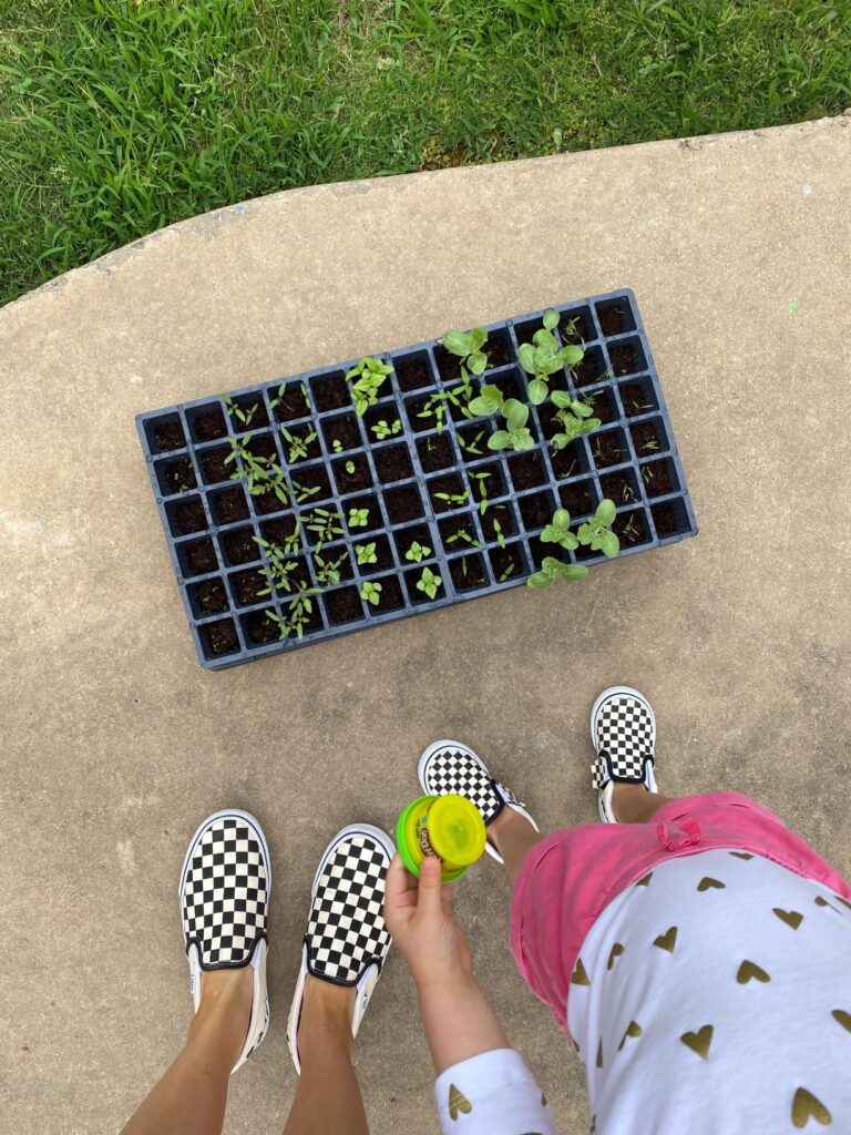 Toddler and Watermelon Seedling 3