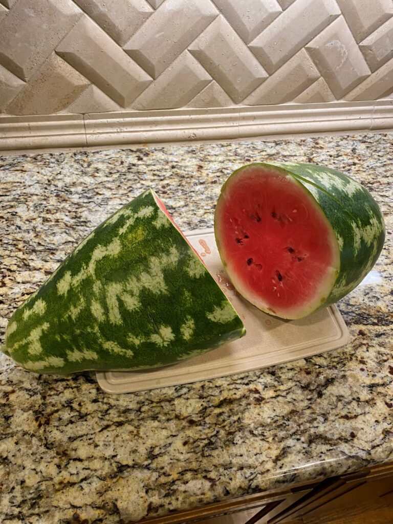first watermelon cut open