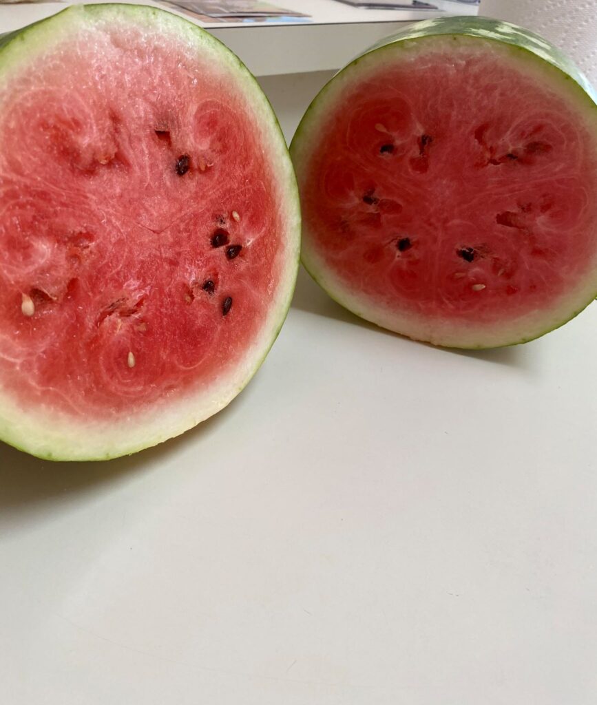 second watermelon_resized