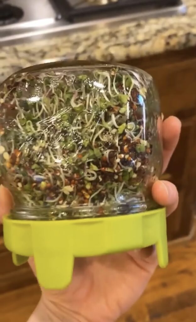 micros in mason jar