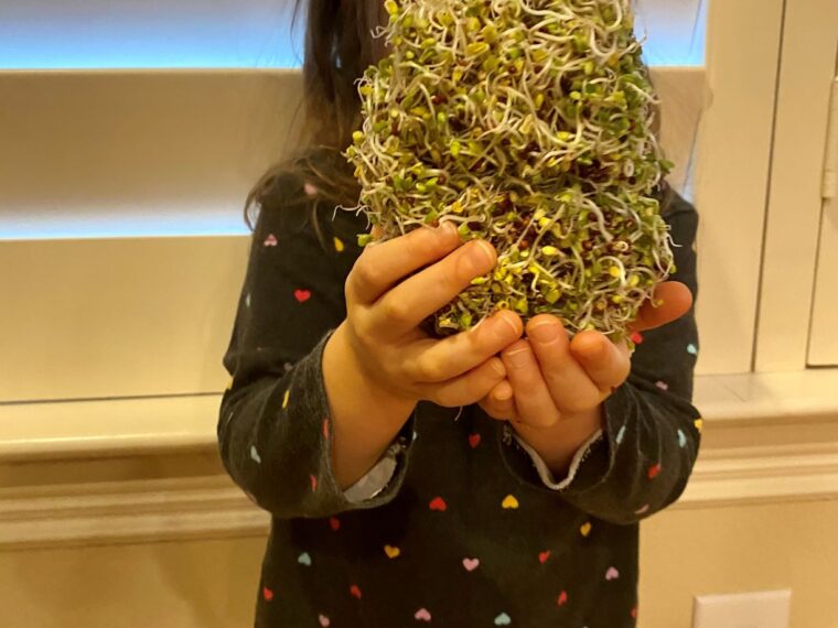 toddler holding sprouts